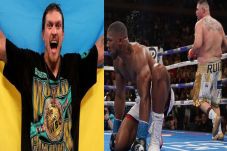 WBO Telikung Whyte,...