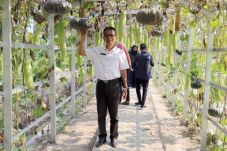 Taman Agro Inovasi Dinas...