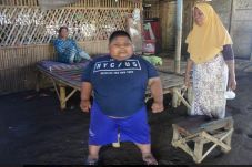 Nafsu Makan Tinggi,...