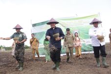 Lahan Serasi di Banyuasin...