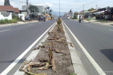 Baru Sepekan, Bunga...