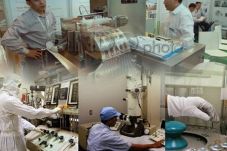 Perkuat Struktur Industri...