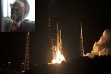 Misi Dragonfly, NASA...