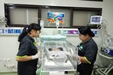 Bayi Kembar Siam Dempet...