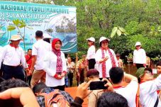 Menteri LHK: Luas Lahan...