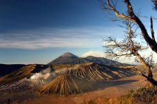 Eksotika Bromo 2019...