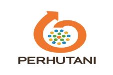 Tahun Politik, Perhutani...