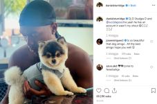 Sturridge Bikin Sayembara...