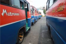 Dishub Kandangkan Metromini...