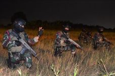 Pasukan Intai Amfibi...