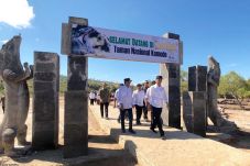 Tata Kawasan Taman Wisata...