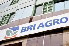 BRI AGRO Raih Laba Bersih...