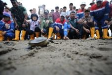 Dukung Konservasi, Pertamina...