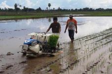 Akademisi Dukung Kebijakan...