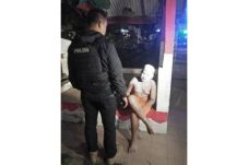 Mau Melakukan Prank,...
