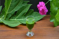Daun Pepaya, Bahan Alami...