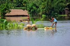 Banjir di Asia Selatan,...