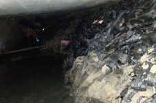 Gorong-Gorong di Mega...
