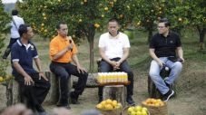 Teknologi Bujangseta...