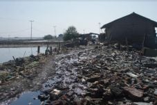 Tumpahan Minyak Pertamina...