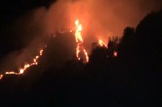 Kebakaran Gunung Panderman...