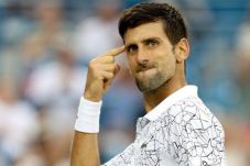 Novak Djokovic Absen,...