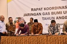 Wakil Wali Kota Maulana...