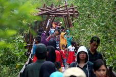 Menkeu: Hutan Indonesia...