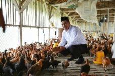 Ketua Komisi II DPD...