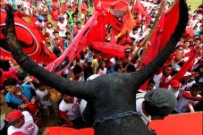 Kongres PDIP di Bali...