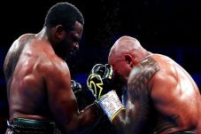 VADA: Dillian Whyte...