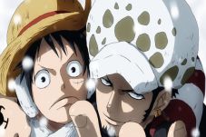 Demi Luffy, Law Kembali...