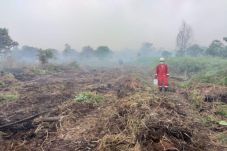Lahan Dekat Konsesi...