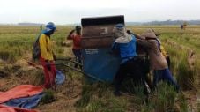 BULOG Jabar Diminta...