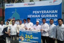 Jelang Idul Adha, IPC...