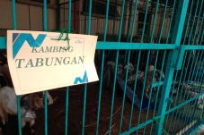 Menabung Dua Pekan,...
