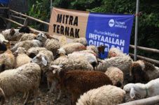 Human Initiative Distribusikan...