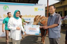 Plt Dirut PLN Saksikan...