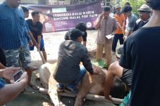 Tingkatkan Kepedulian...
