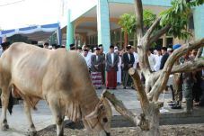 Dodi: Berqurban Dekatkan...