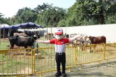 TIKI-JNE Idul Adha Bareng...