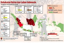 BNPB Sebut Kualitas...