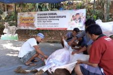Syukuran Kurban, ACT...