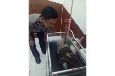 Masih Ada Tali Pusar,...