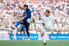 Dipermak Arema, Ciri...