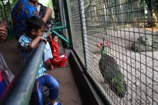 Tak Ada Lomba 17-an,...