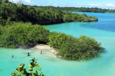 Dunia Akui Raja Ampat...