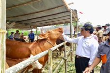 Kementan dan Pemda Papua...