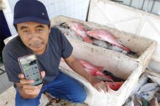 Dirilis Akhir Agustus,...
