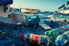 Basmi Sampah di Laut,...